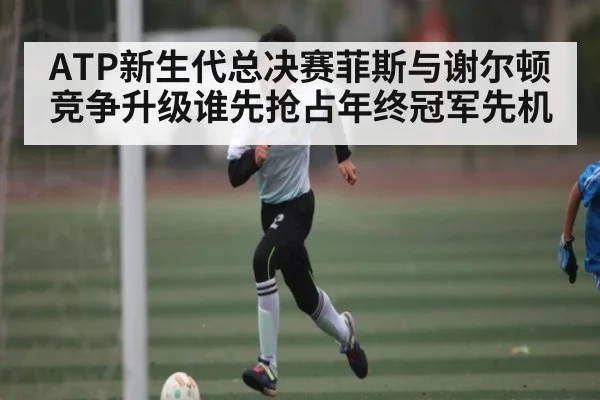 ATP新生代总决赛菲斯与谢尔顿竞争升级谁先抢占年终冠军先机