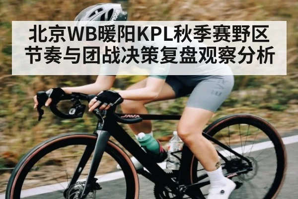北京WB暖阳KPL秋季赛野区节奏与团战决策复盘观察分析